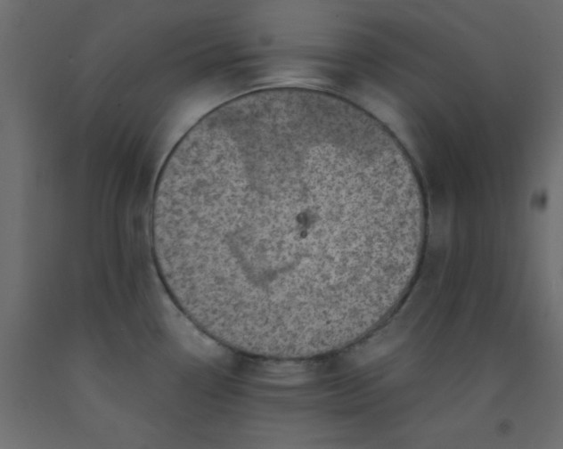 X0000093101338200710101530