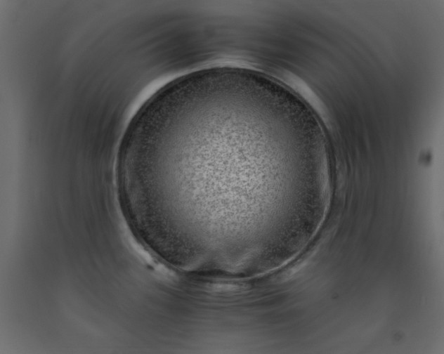 X0000093101339200710101530