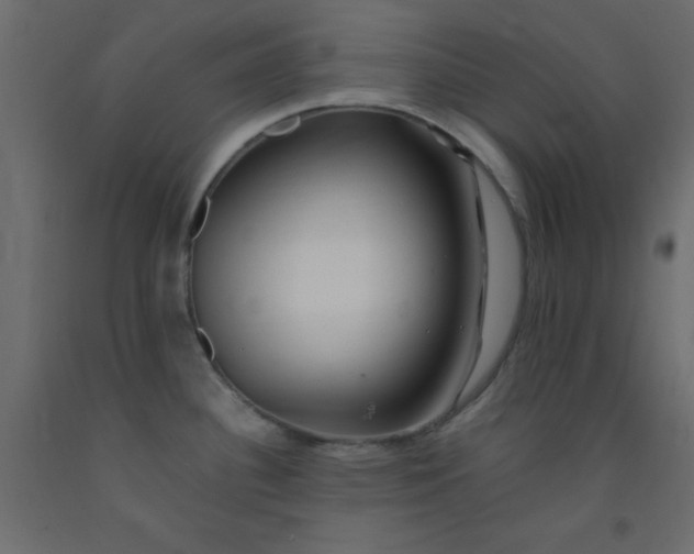 X0000093101340200710101530