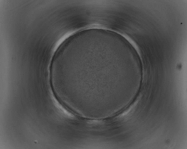 X0000093101341200710101530