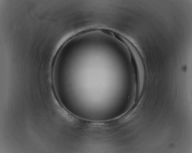 X0000093101342200710101530