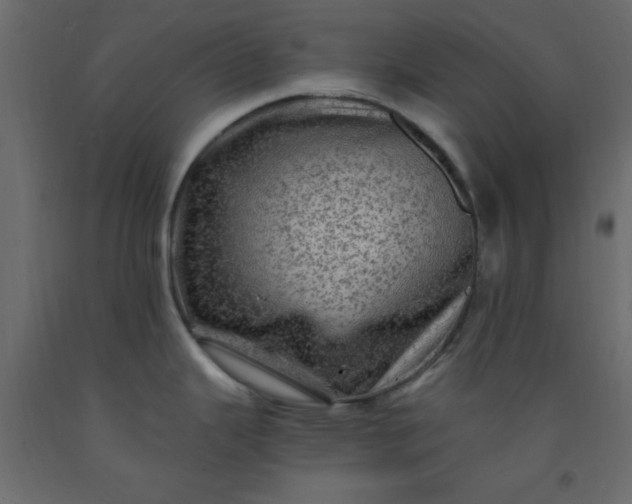 X0000093101343200710101530