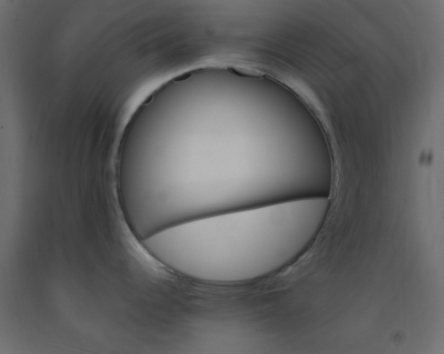 X0000093101344200710101530