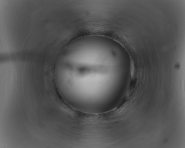 X0000093101345200710101529