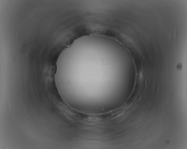 X0000093101346200710101529