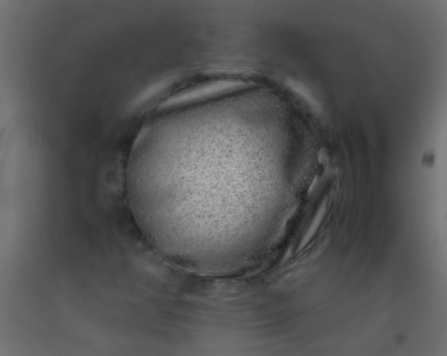 X0000093101350200710101529