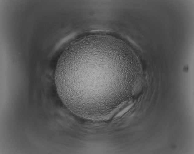X0000093101351200710101529
