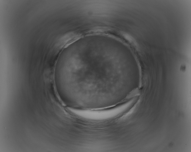 X0000093101353200710101529