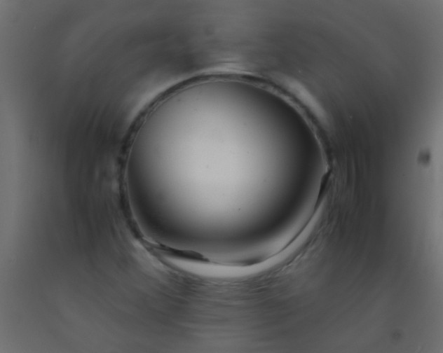X0000093101356200710101529