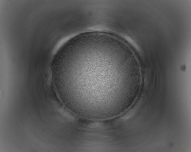 X0000093101358200710101529