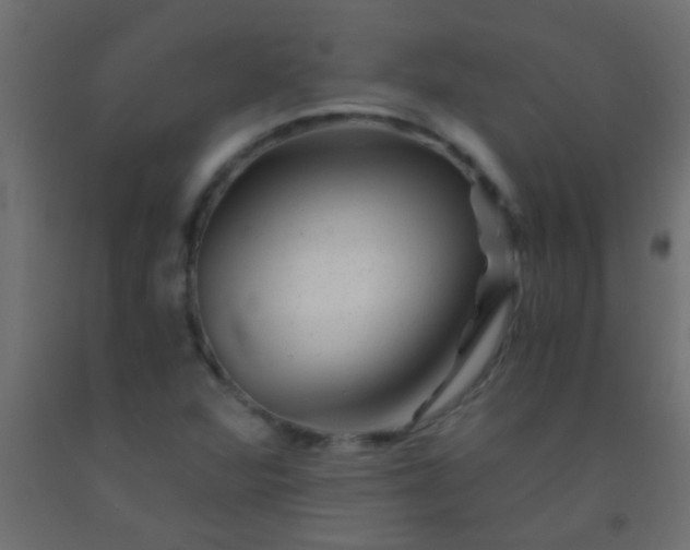 X0000093101360200710101529