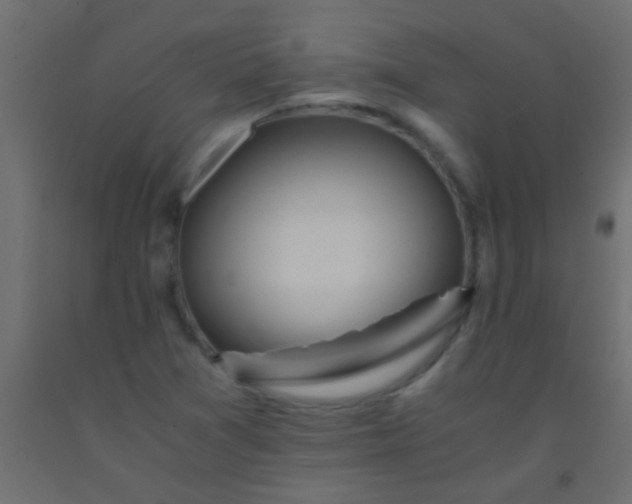 X0000093101361200710101529