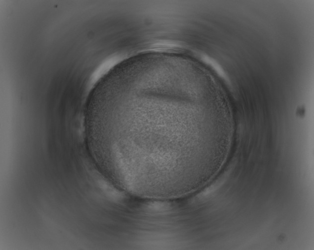 X0000093101362200710101529