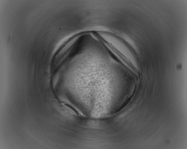 X0000093101364200710101529