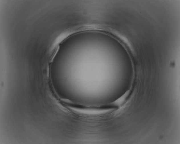 X0000093101365200710101529