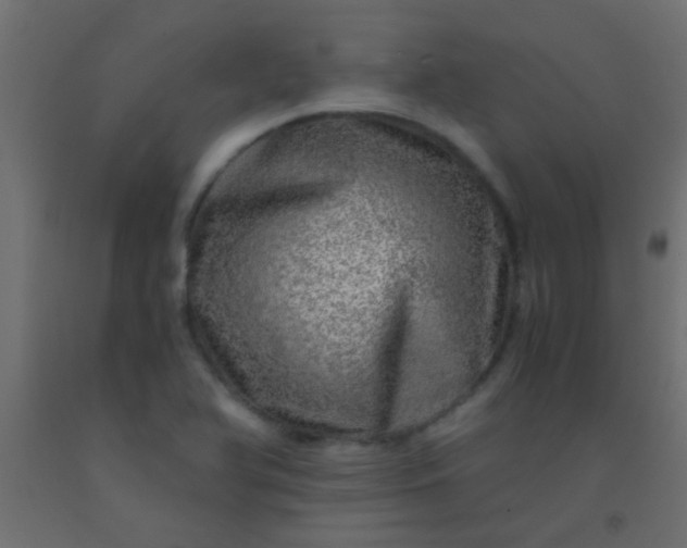 X0000093101366200710101529