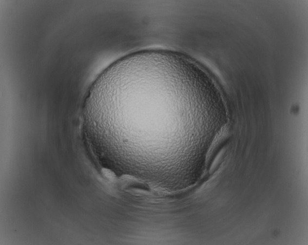 X0000093101367200710101529