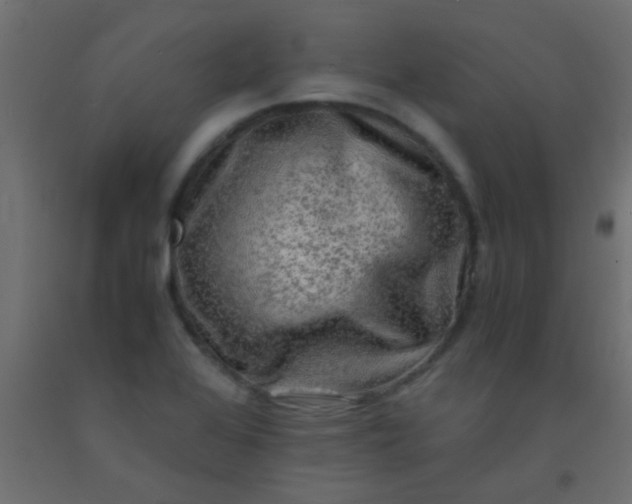 X0000093101368200710101529