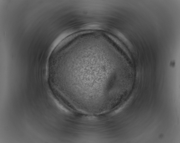 X0000093101370200710101529