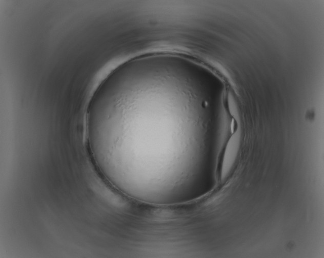 X0000093101371200710101529