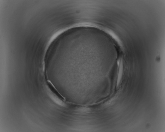 X0000093101372200710101529
