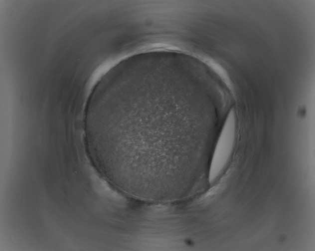 X0000093101373200710101529
