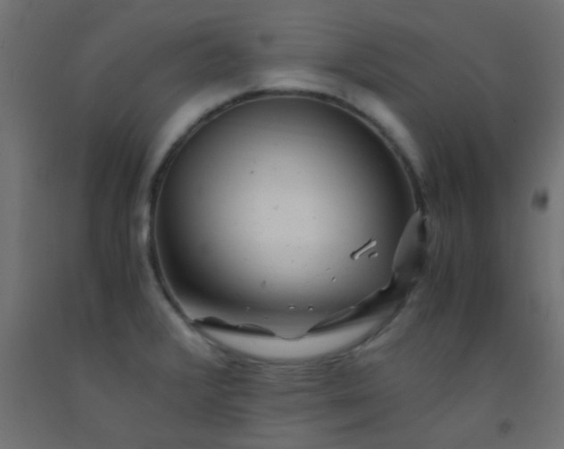 X0000093101376200710101529
