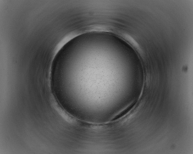 X0000093101378200710101529
