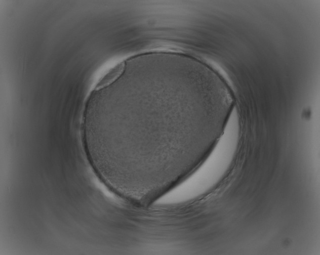 X0000093101379200710101529