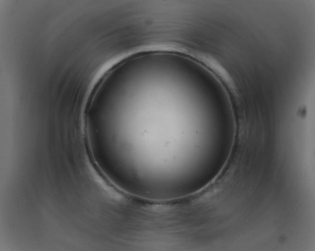 X0000093101380200710101529