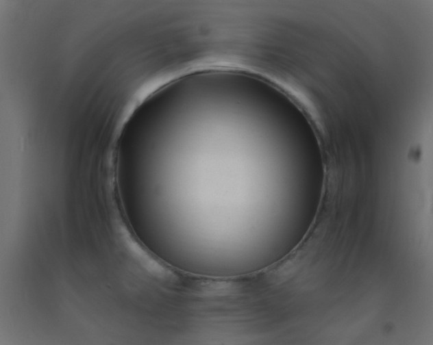 X0000093101382200710101529