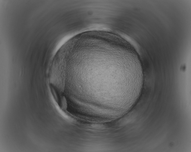 X0000093101383200710101529