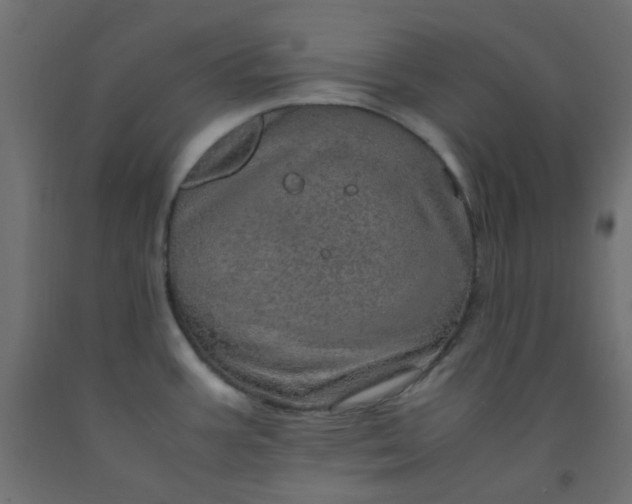 X0000093101387200710101529