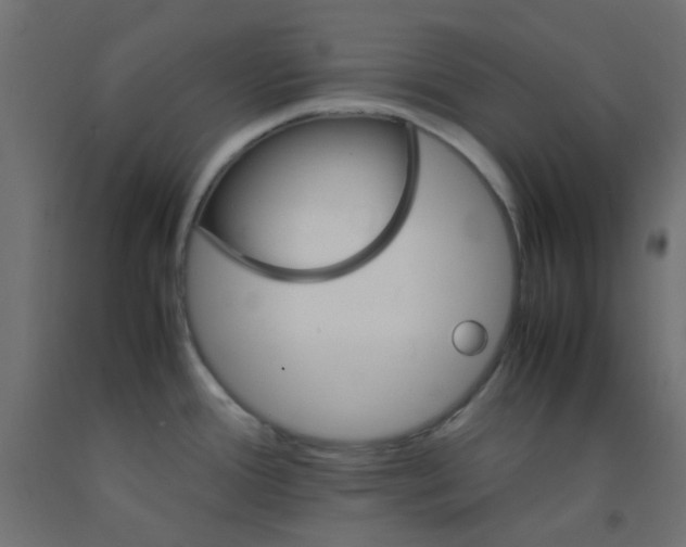 X0000093101388200710101529