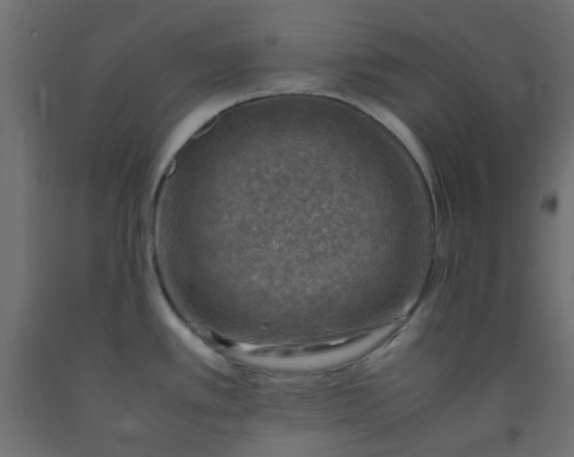 X0000093101389200710101529