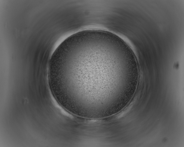 X0000093101390200710101529