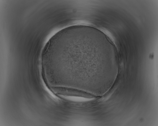 X0000093101391200710101529