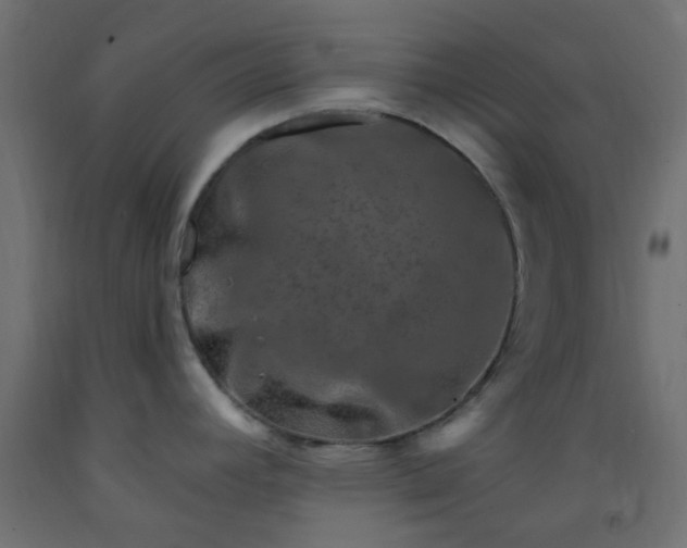 X0000093101392200710101529