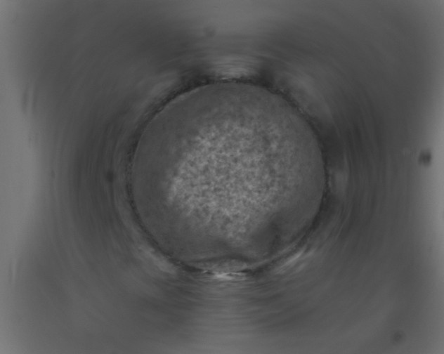 X0000093101393200710101528