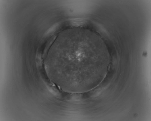 X0000093101394200710101528