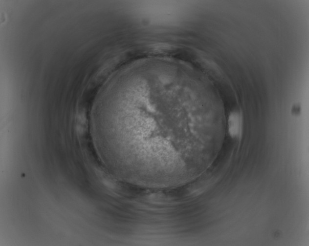 X0000093101395200710101528