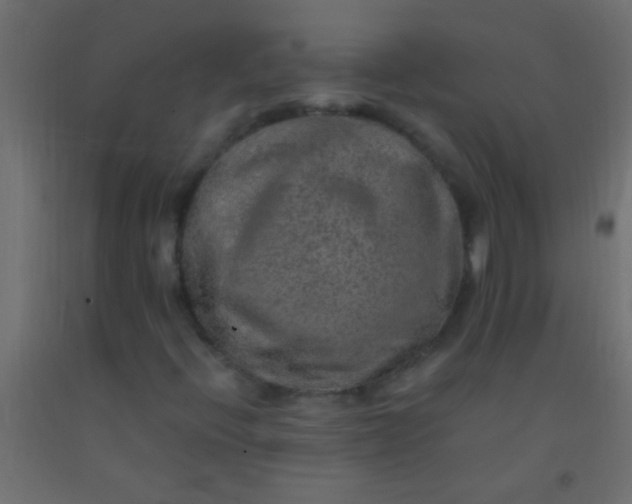 X0000093101396200710101528
