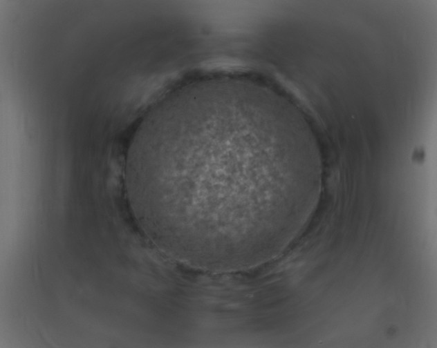 X0000093101397200710101528
