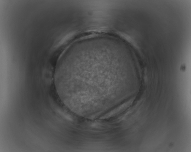 X0000093101399200710101528