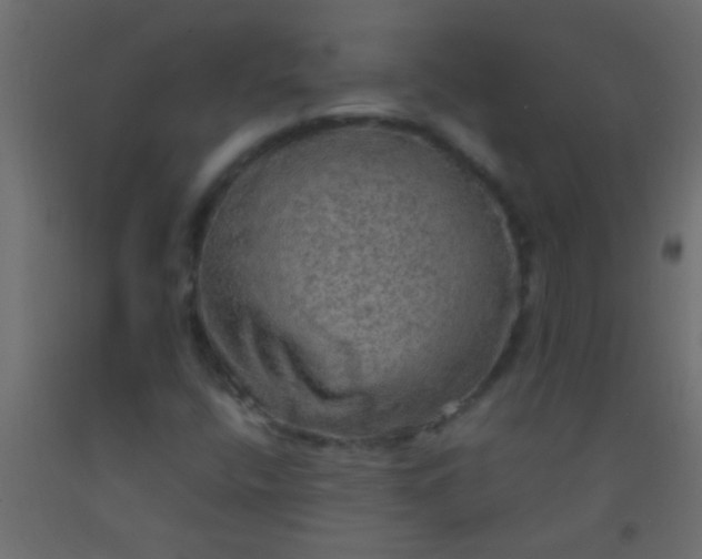 X0000093101400200710101528