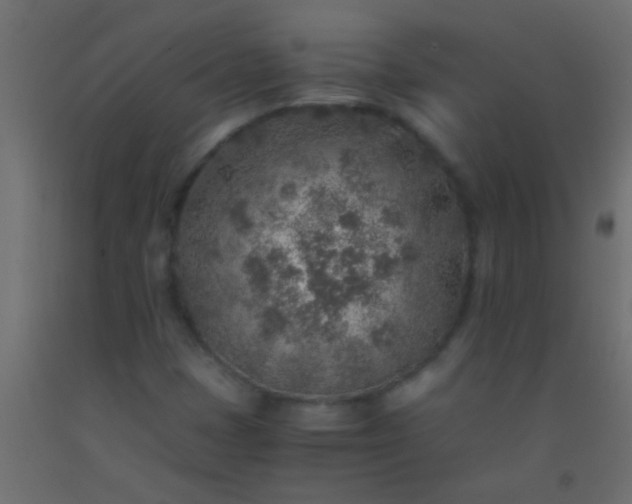 X0000093101401200710101528