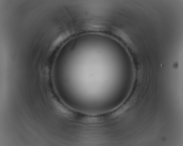 X0000093101402200710101528
