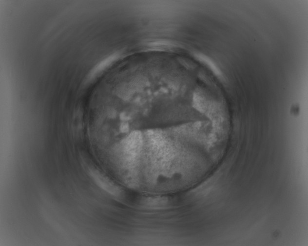 X0000093101403200710101528