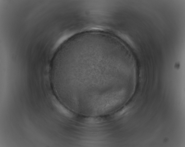 X0000093101404200710101528
