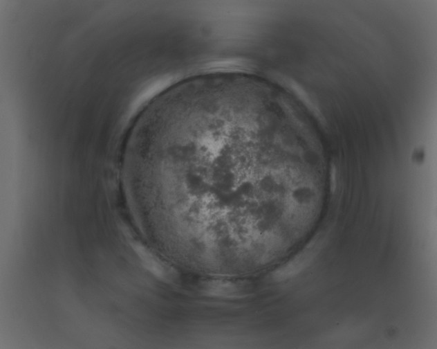 X0000093101405200710101528